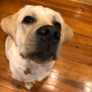 Meet your Posher, Todd